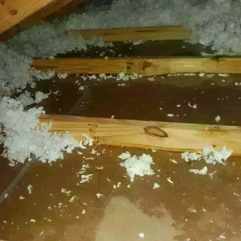 Attic Water Damage in Portland, TN